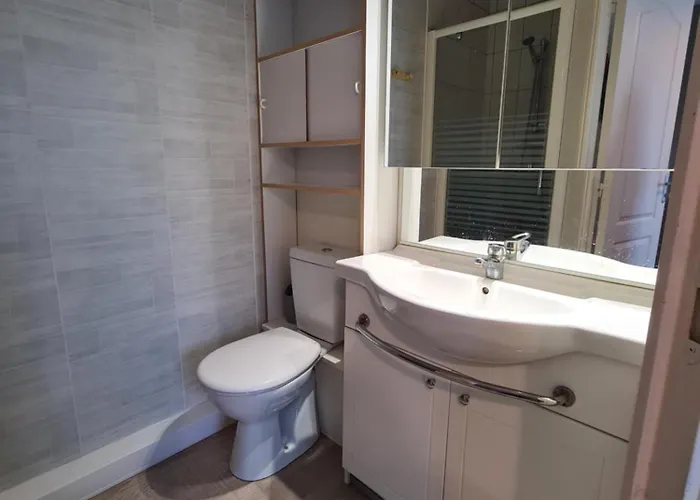 Apartamento Le Vallon A 5 Min Du Puy Dufou *